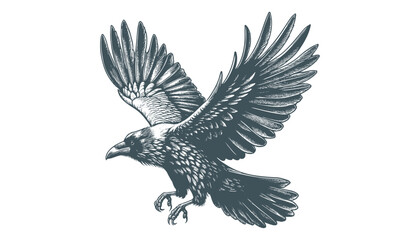 crow vector, raven vector