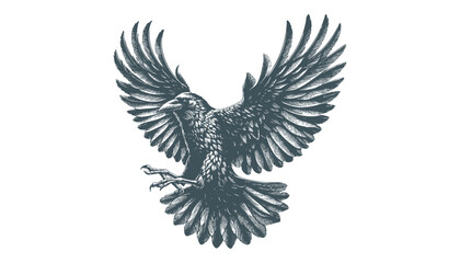 crow vector, raven vector