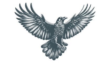 crow vector, raven vector