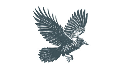 crow vector, raven vector