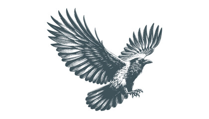 crow vector, raven vector