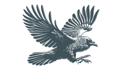 crow vector, raven vector