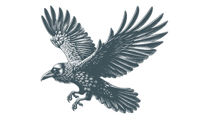 crow vector, raven vector