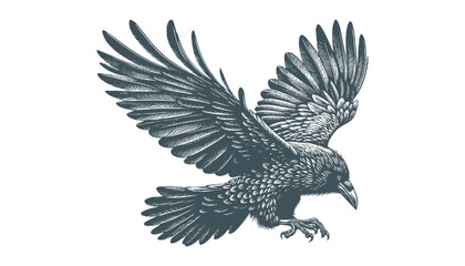 crow vector, raven vector