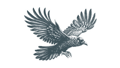 crow vector, raven vector