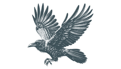 crow vector, raven vector