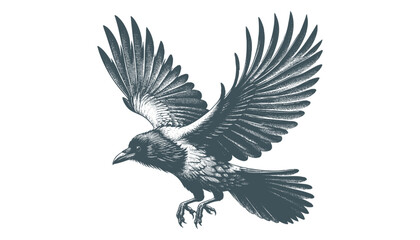 crow vector, raven vector