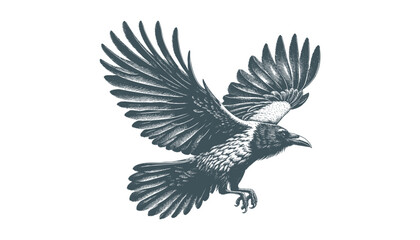 Obraz premium crow vector, raven vector