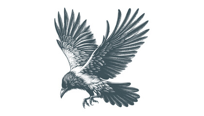 crow vector, raven vector