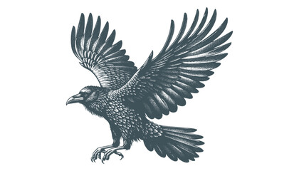 crow vector, raven vector