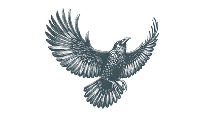 crow vector, raven vector