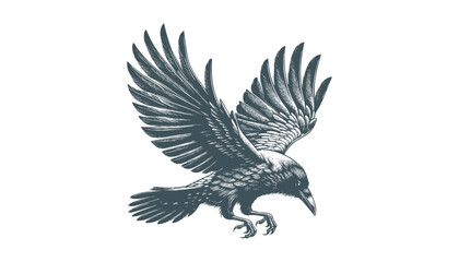 Obraz premium crow vector, raven vector