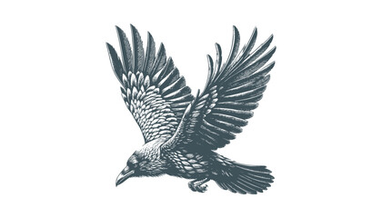 crow vector, raven vector