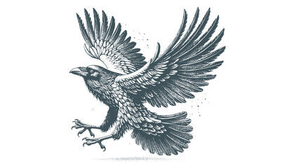 crow vector, raven vector
