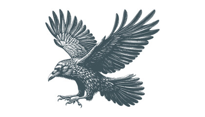 crow vector, raven vector