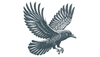 crow vector, raven vector