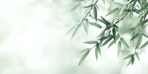 Naklejka premium Willow Branch in Mist: Delicate willow leaves sway gently in a soft mist, their verdant hues creating a calming and tranquil atmosphere. This artistic image evokes a sense of peace and serenity.