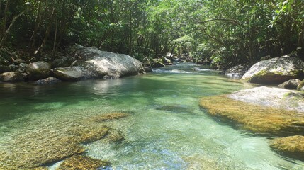Naklejka premium 81.A close-up of the Mossman Riverâ€™s crystal-clear waters rushing gently around moss-covered rocks, with vibrant green vegetation framing the natural beauty of the Daintree National Park.