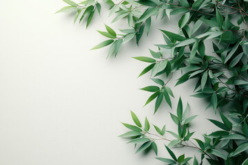 Fototapeta premium A minimalist image with green leaves spread across a light background. 