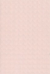 Fototapeta premium Background_Lightpink