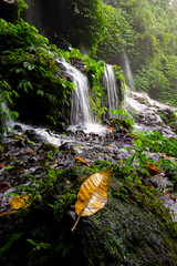 Lush Tropical Waterfall Flowing Through Green Jungle Landscape in Indonesia