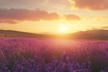 Floral Pattern Illustration 