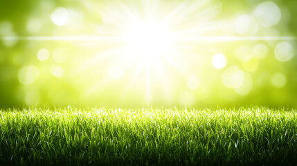 Obraz premium Bright sunlit grass field with glowing bokeh effect