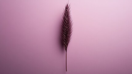 Single Dark Pink Palm Leaf on Pink Background