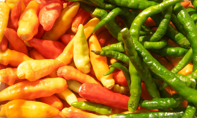 a bunch of green chilies and red chilies