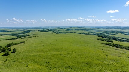 Obraz premium Rolling green hills under blue sky, summer landscape