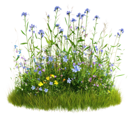 PNG Flowers grass colorful nature.