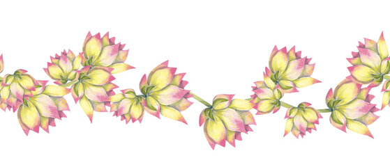 Watercolor Seamless Pattern Border with Big Buds Flowers Lotus Plants, for Print, Web and Textile