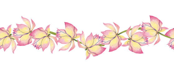 Watercolor Seamless Pattern Border with Big Buds Flowers Lotus Plants, for Print, Web and Textile