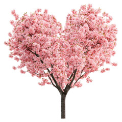 Fototapeta premium PNG Heart-shaped cherry blossom tree flowers romantic nature.