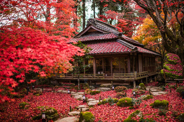 Autumn in Japan