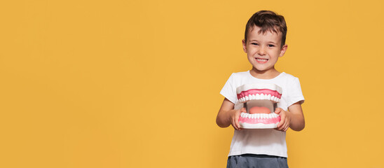 A smiling boy with healthy teeth holds a large jaw and a toothbrush on a yellow background. A place for your text. Oral hygiene. Pediatric dentistry. Rules for brushing teeth.