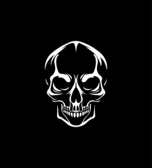 White Skull Graphic Design, Dark Background, Vector Art, Illustration