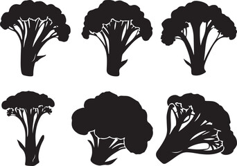set of vegetables, different Broccoli icons silhouette vector style with white background