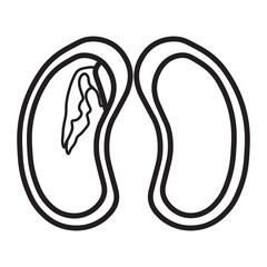 Dicot seed line icon