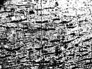 Abstract concrete wall texture with transparent background. Dust Overlay Distress Grain , Create grungy, dirty, dusty texture effect 