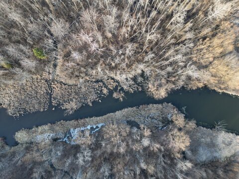 Vertical aerial view of a deciduous forest canopy in winter - Vue a&eacute;rienne verticale de la canop&eacute;e d'une for&ecirc;t de feuillus en hiver