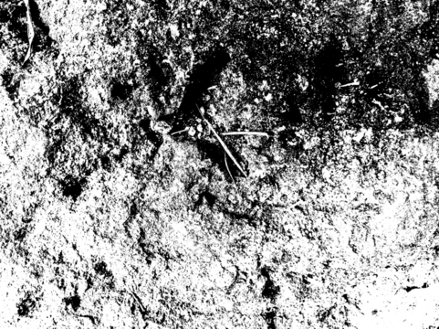 Close up texture of a soil surface on a transparent background, to add a grunge effect on your design