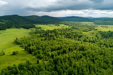Naklejka premium Aerial view of the summer landscape in the Carpathian mountains