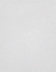 Obraz premium 紙（白色）