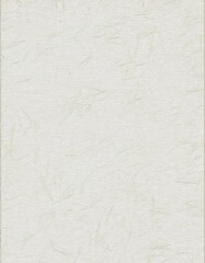 Fototapeta premium 紙（白色）