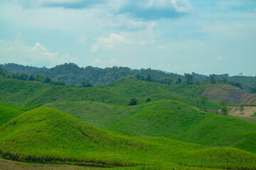 LANDSCAPE OF GREEN GRASS FIELD