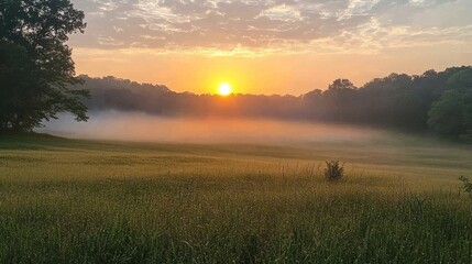 Obraz premium Misty sunrise over a tranquil field.