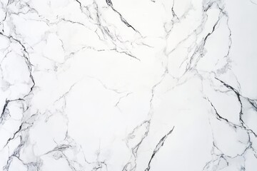 Fototapeta premium pristine white marble surface with delicate veining soft natural lighting