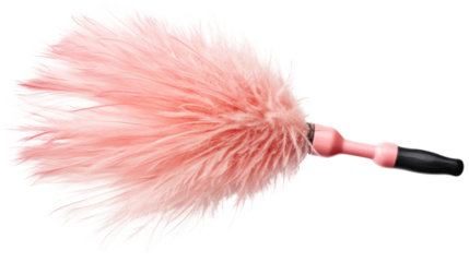 Pink feather duster floating on transparent background