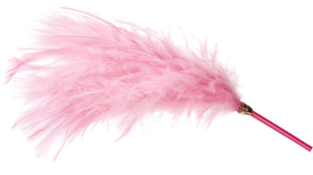 Pink feather duster floating on transparent background